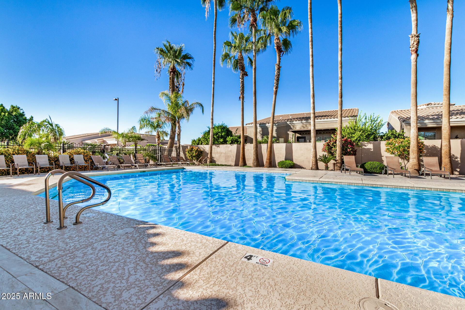 6202 East McKellips Road, Unit 139 Mesa, AZ 85215 - Photo 48 of 54 a view of a swimming pool with a lawn chairs and palm tree