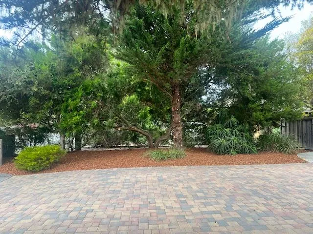 a view of a house with a yard and tree s