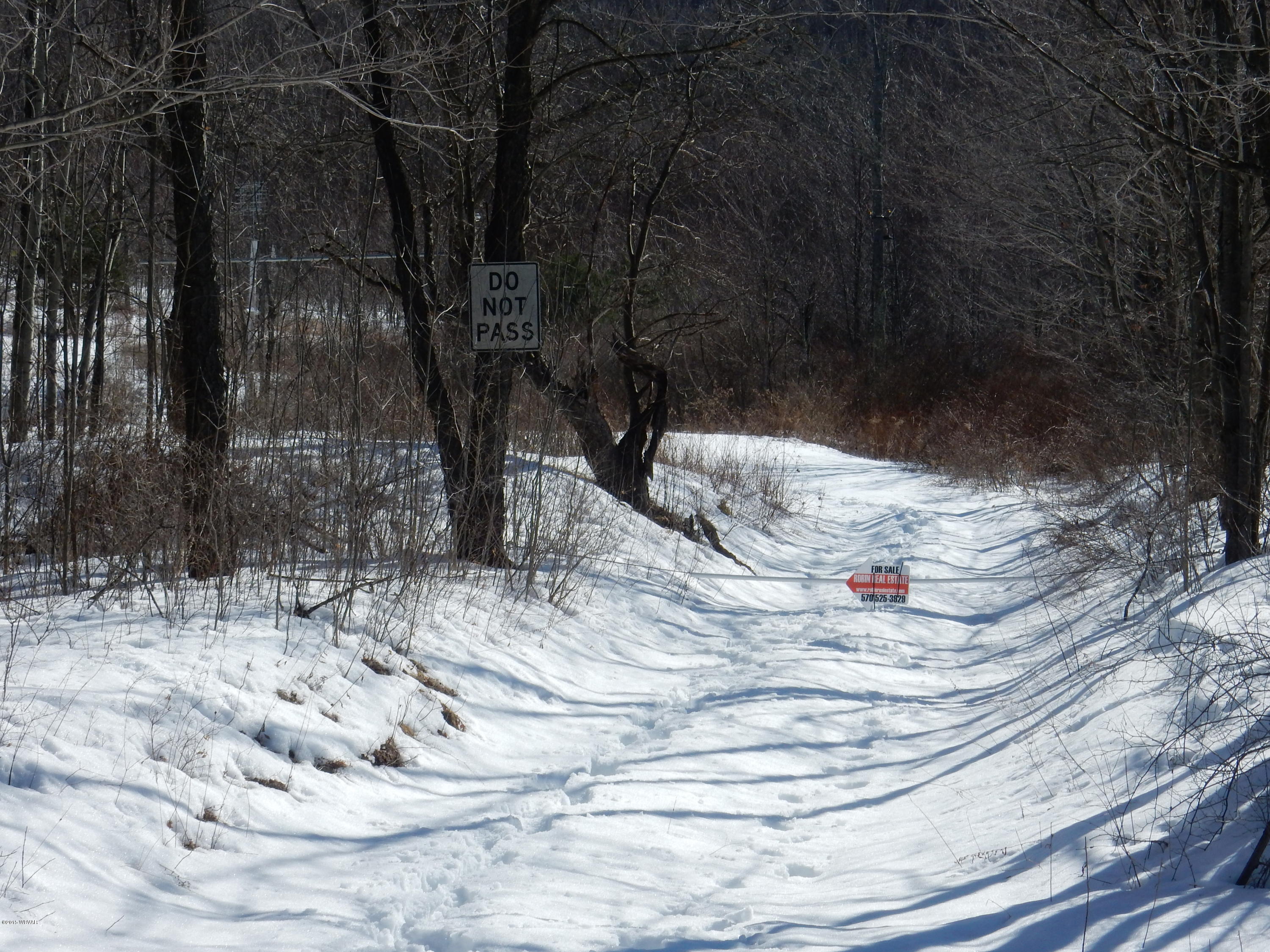 3052 Whiskey Run Road Muncy Valley, PA 17758 - Photo 22 of 22 driveway.JPG