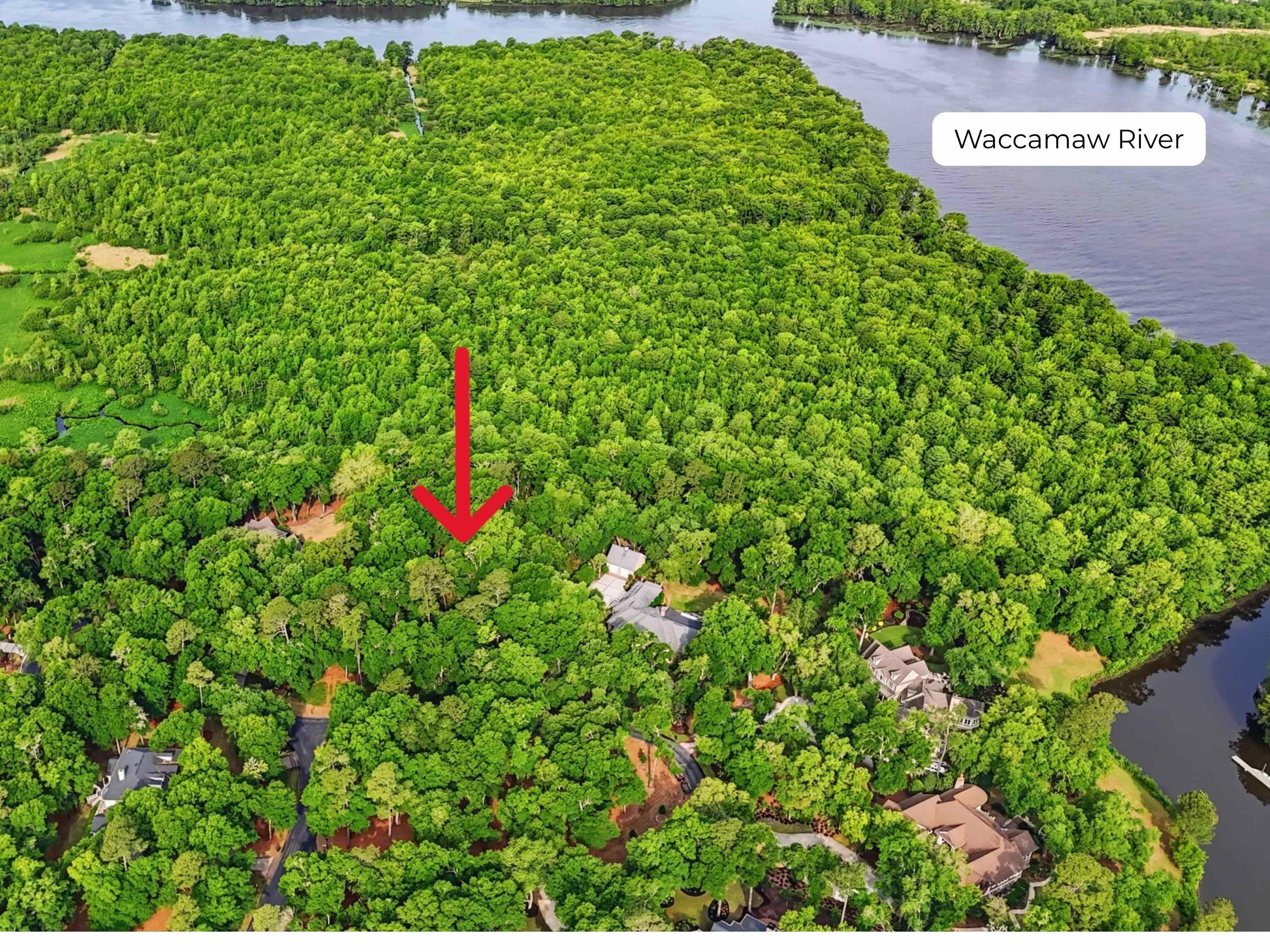 116 Sandy Ridge Loop Pawleys Island, SC 29585 - Photo 1 of 23