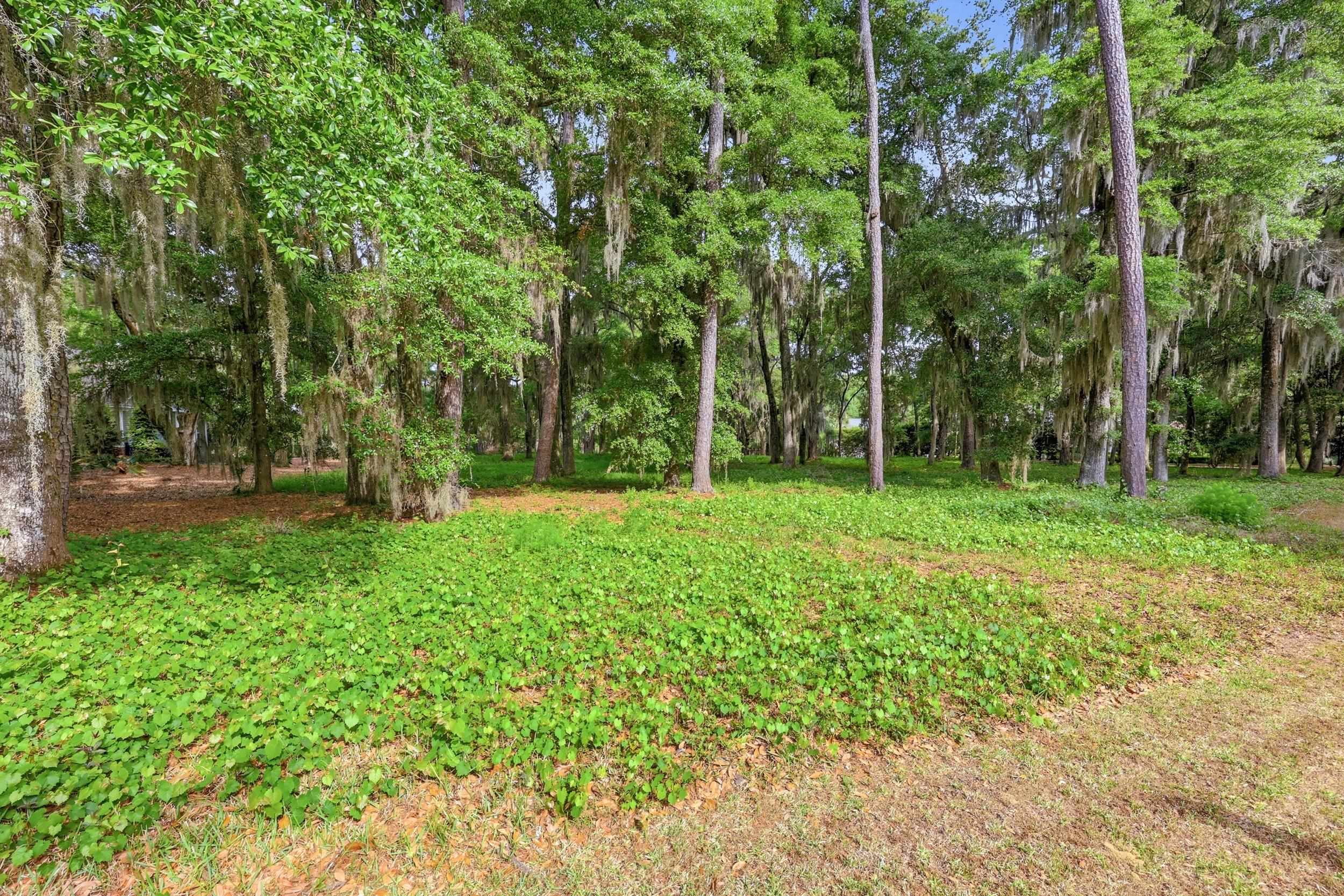 116 Sandy Ridge Loop Pawleys Island, SC 29585 - Photo 3 of 23