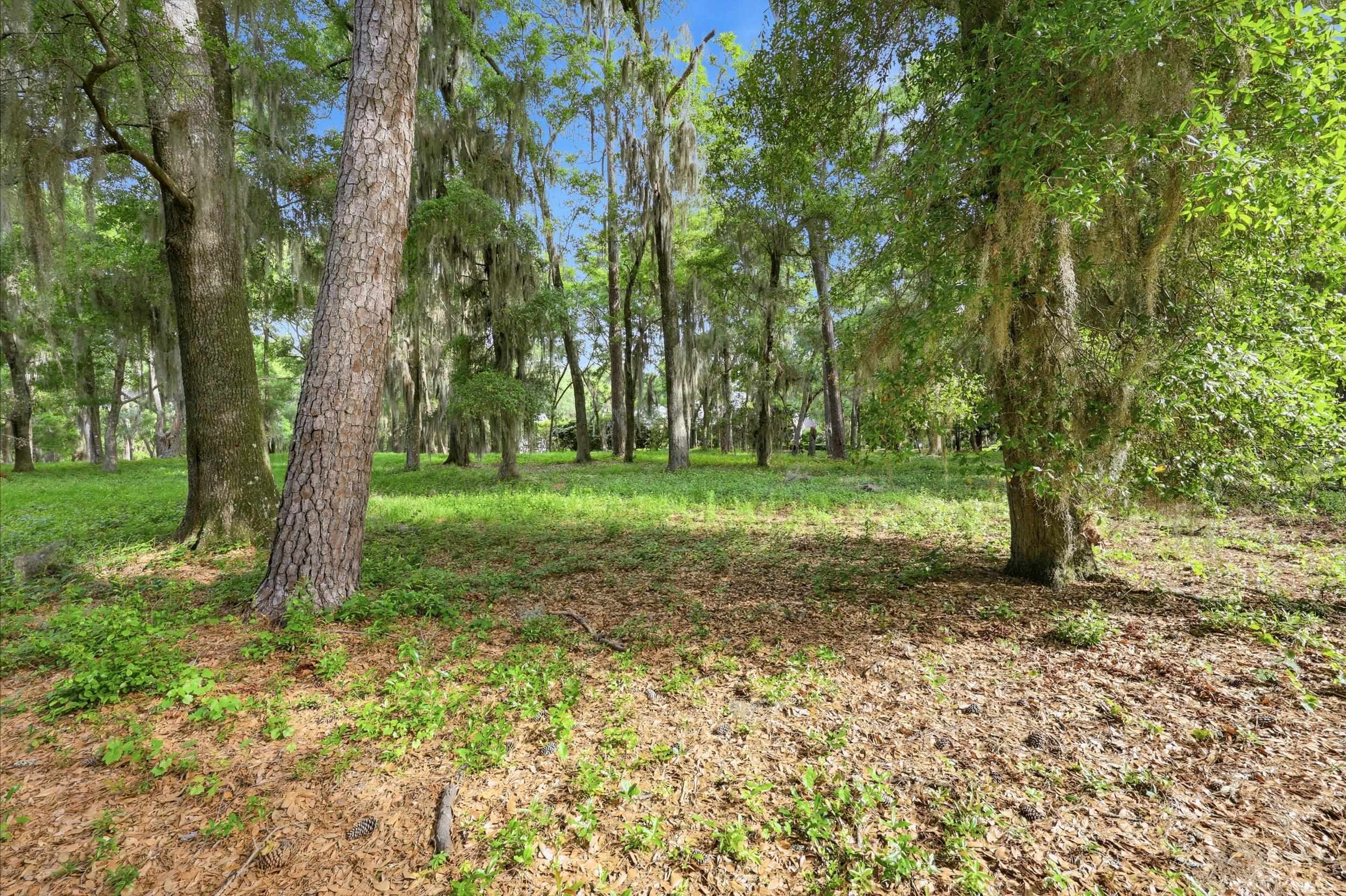 116 Sandy Ridge Loop Pawleys Island, SC 29585 - Photo 4 of 23