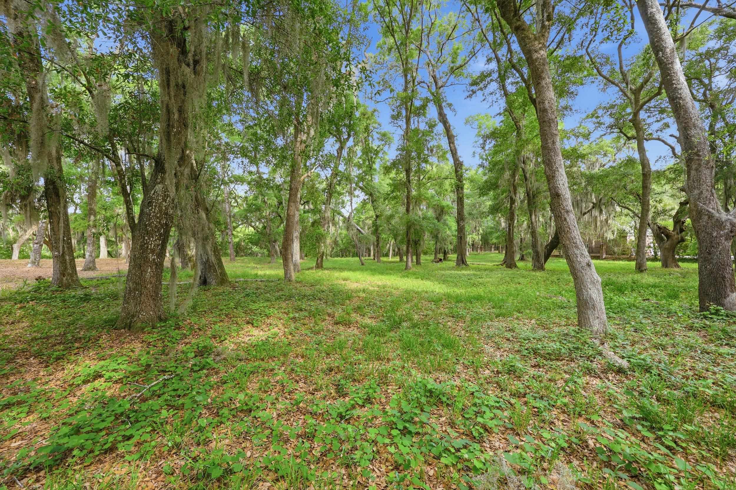 116 Sandy Ridge Loop Pawleys Island, SC 29585 - Photo 5 of 23