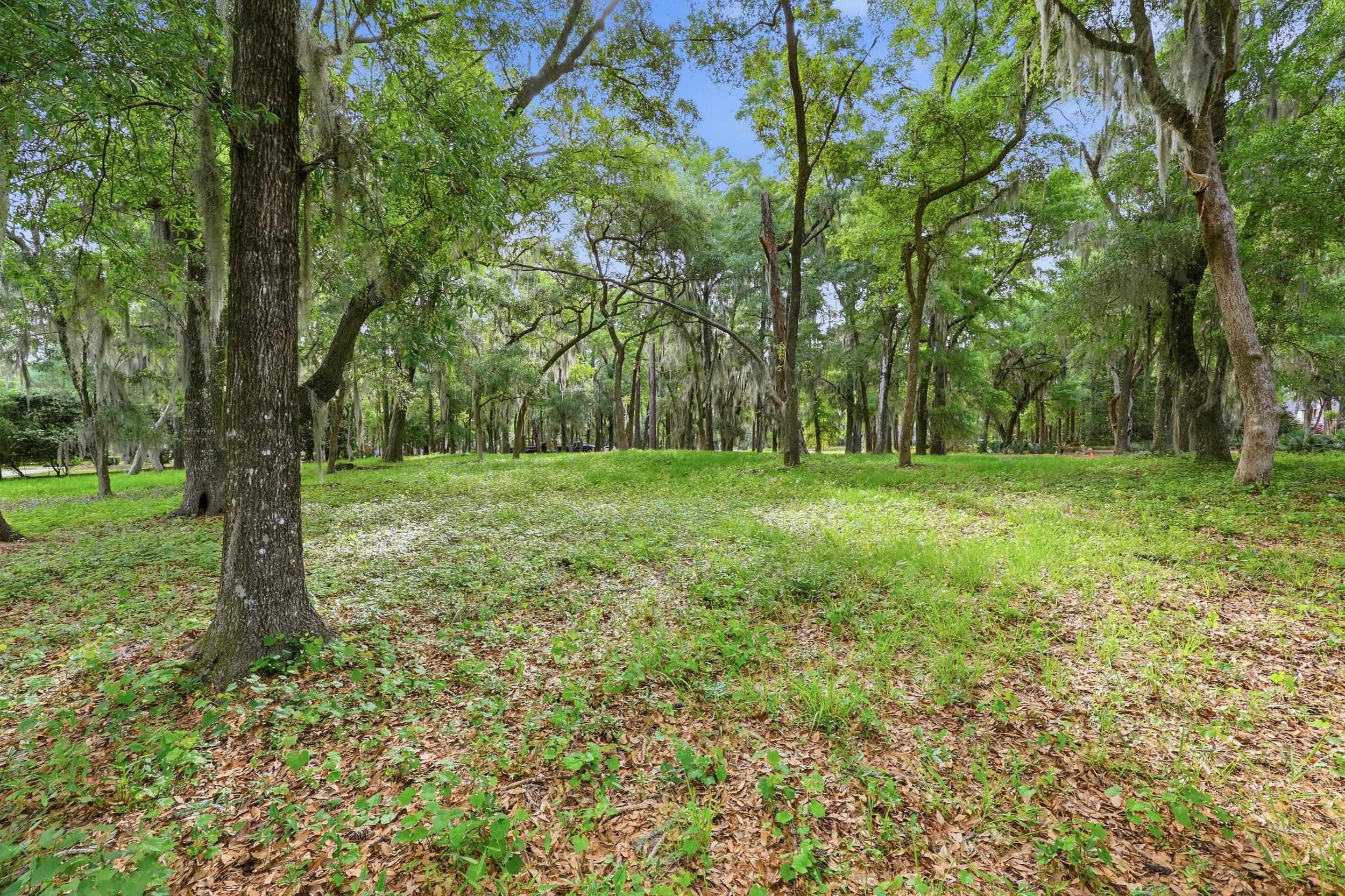 116 Sandy Ridge Loop Pawleys Island, SC 29585 - Photo 6 of 23