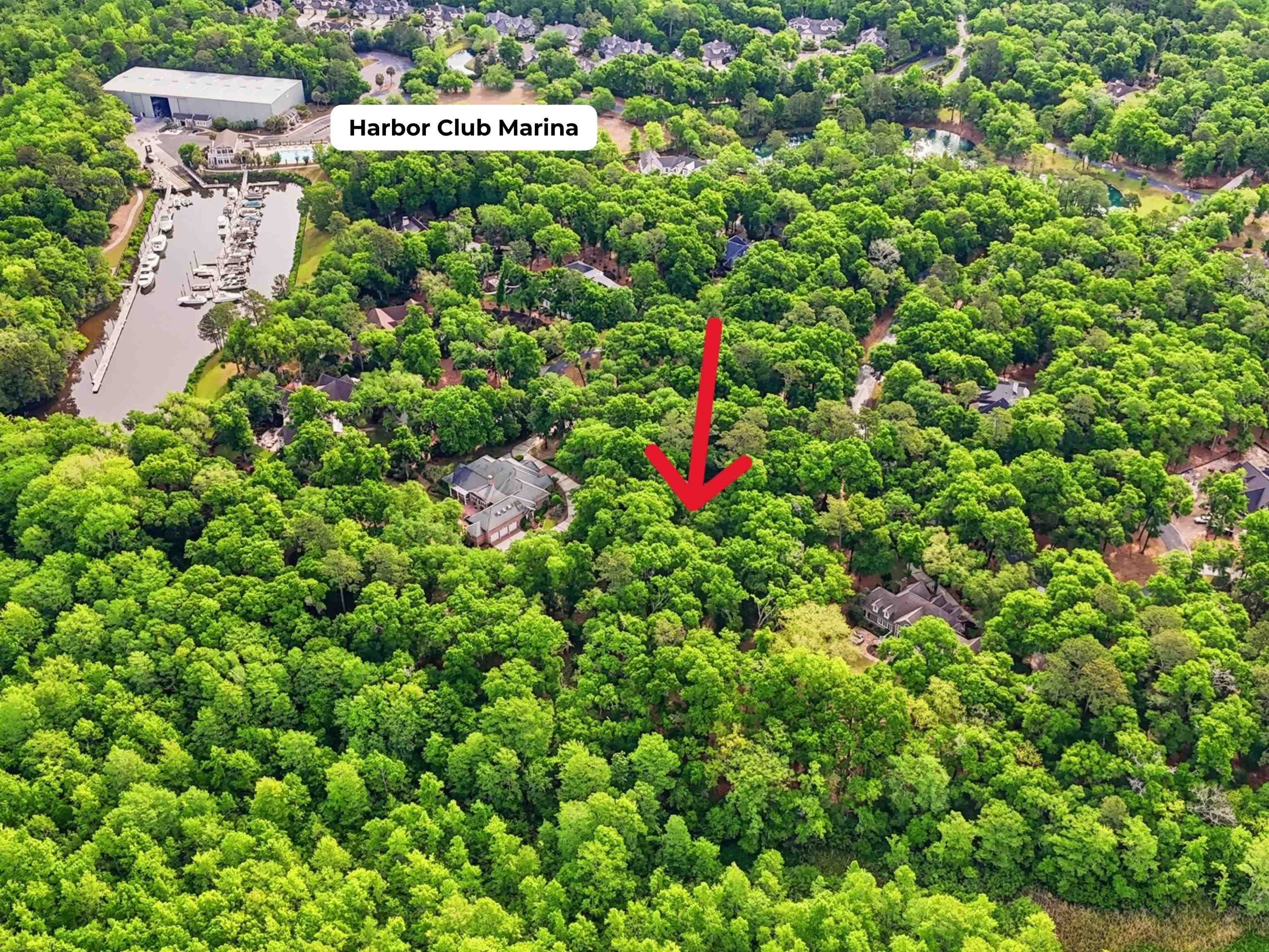 116 Sandy Ridge Loop Pawleys Island, SC 29585 - Photo 10 of 23