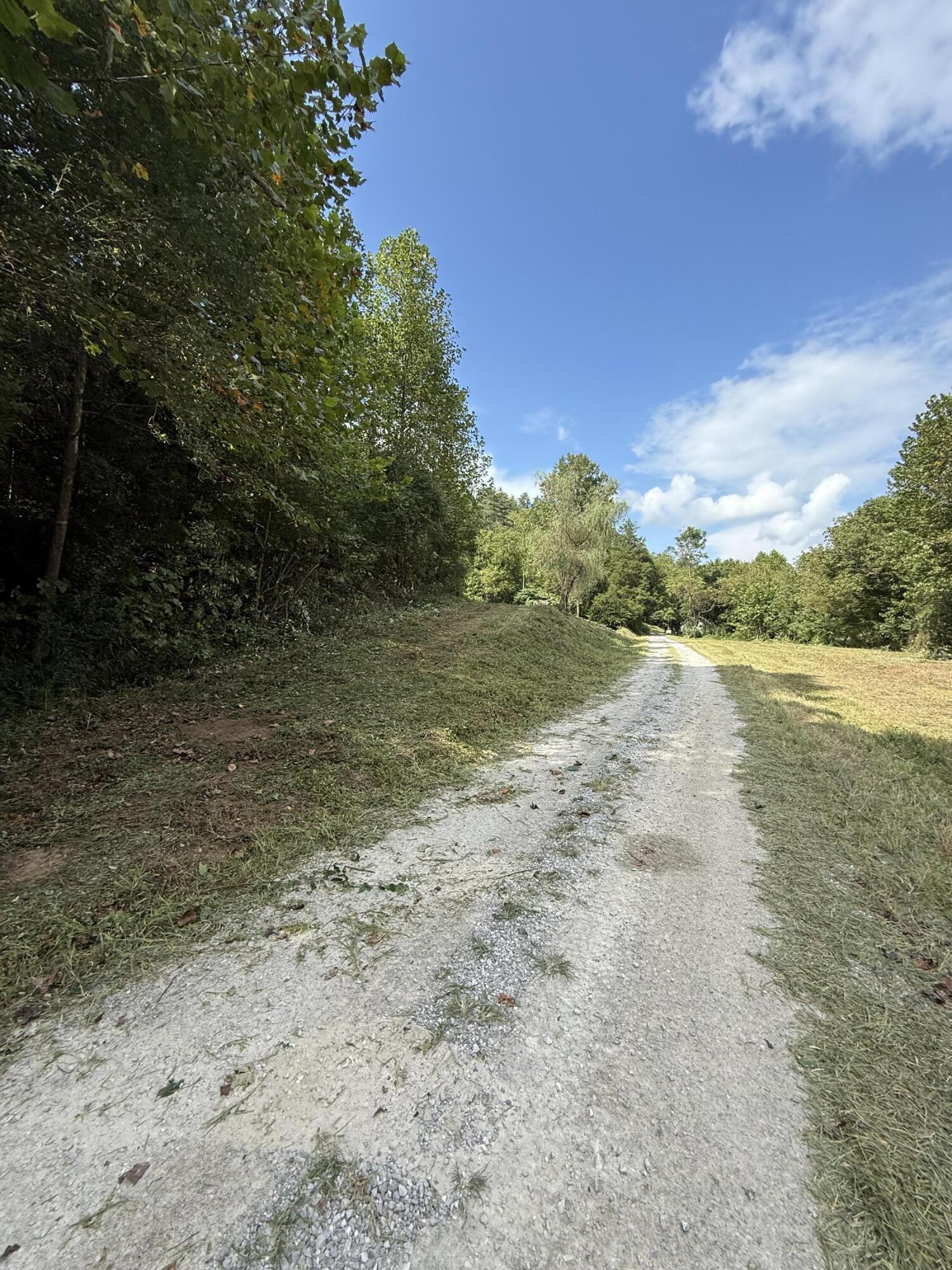 339 Old Hammond Post Rd Flat Flat Lick, KY 40935 - Photo 8 of 14 IMG_3467