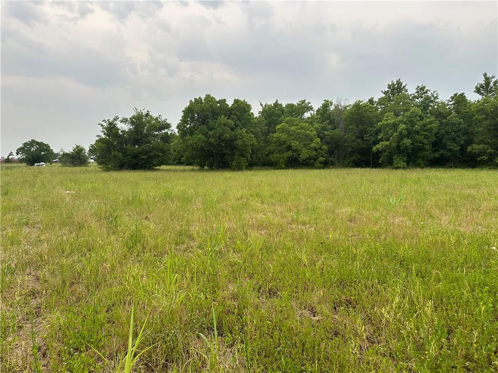 0 Stovall Road Alexandria, LA 71303 - Photo 4 of 9