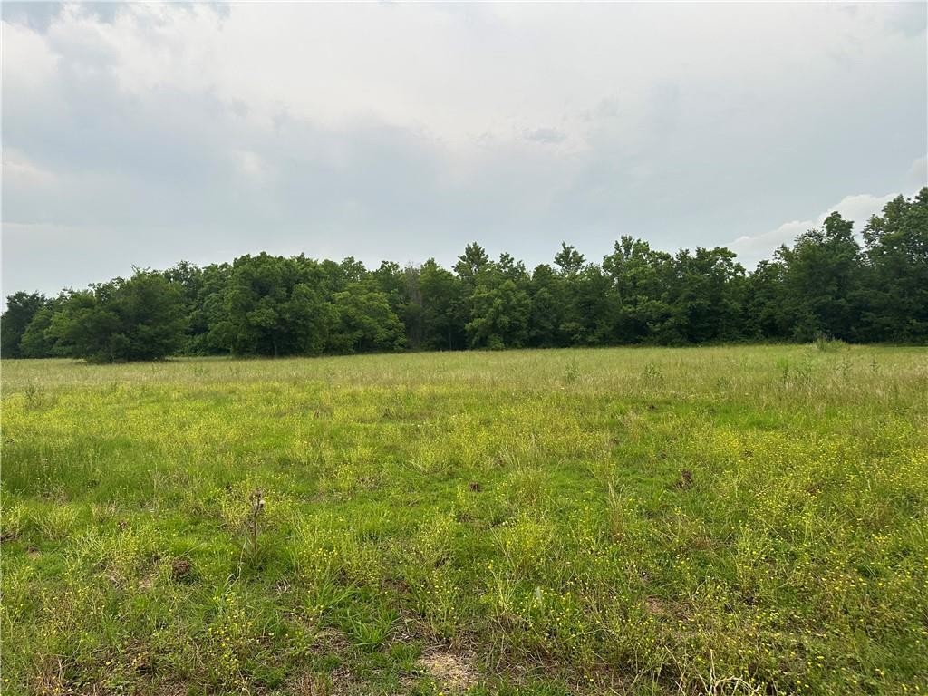 0 Stovall Road Alexandria, LA 71303 - Photo 5 of 9