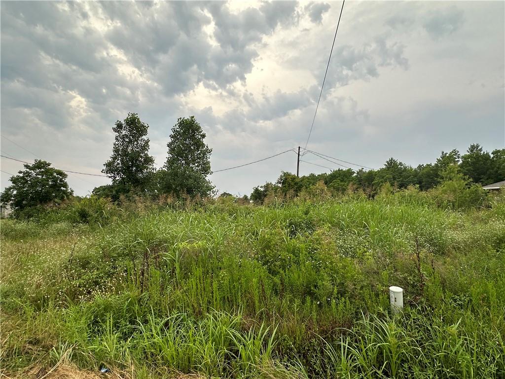 0 Stovall Road Alexandria, LA 71303 - Photo 6 of 9