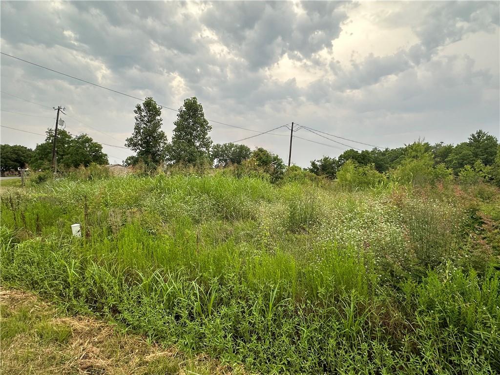 0 Stovall Road Alexandria, LA 71303 - Photo 7 of 9