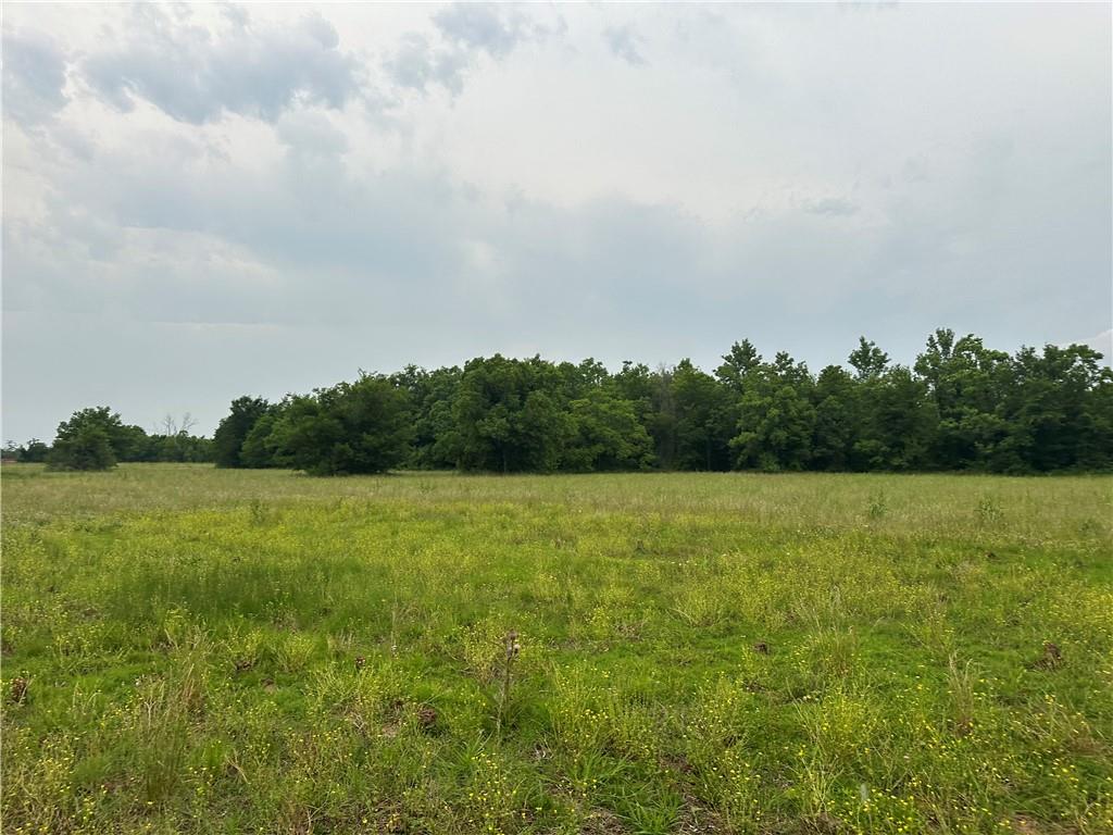0 Stovall Road Alexandria, LA 71303 - Photo 8 of 9