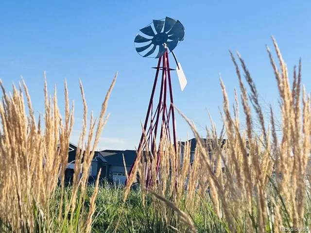 a view of a swimming pool with a lawn chairs under an umbrella