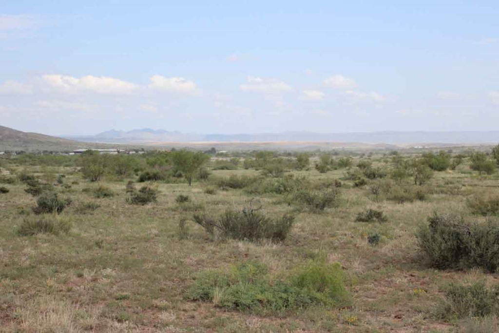 15 R Sierra La Rana Alpine, TX 79830 - Photo 7 of 8 Photo 7