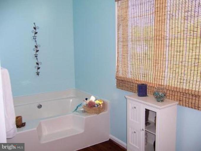 27 Marble Arch Road Colora, MD 21917 - Photo 16 of 30 Master Bath