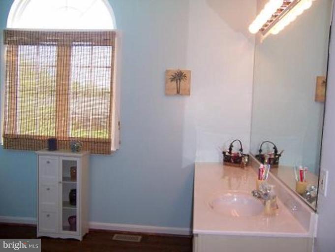 27 Marble Arch Road Colora, MD 21917 - Photo 17 of 30 Master Bath #2