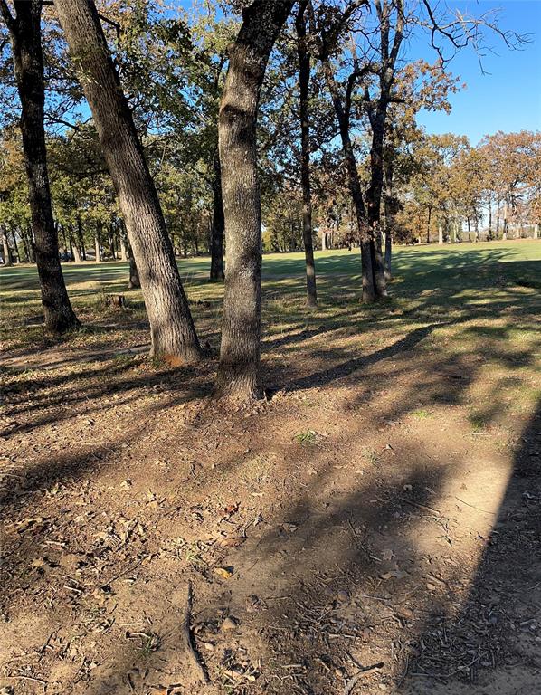 107 Bay Tree Trail Mabank, TX 75156 - Photo 12 of 16 a view of outdoor space with trees