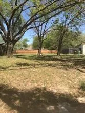 a view of a yard with a large tree