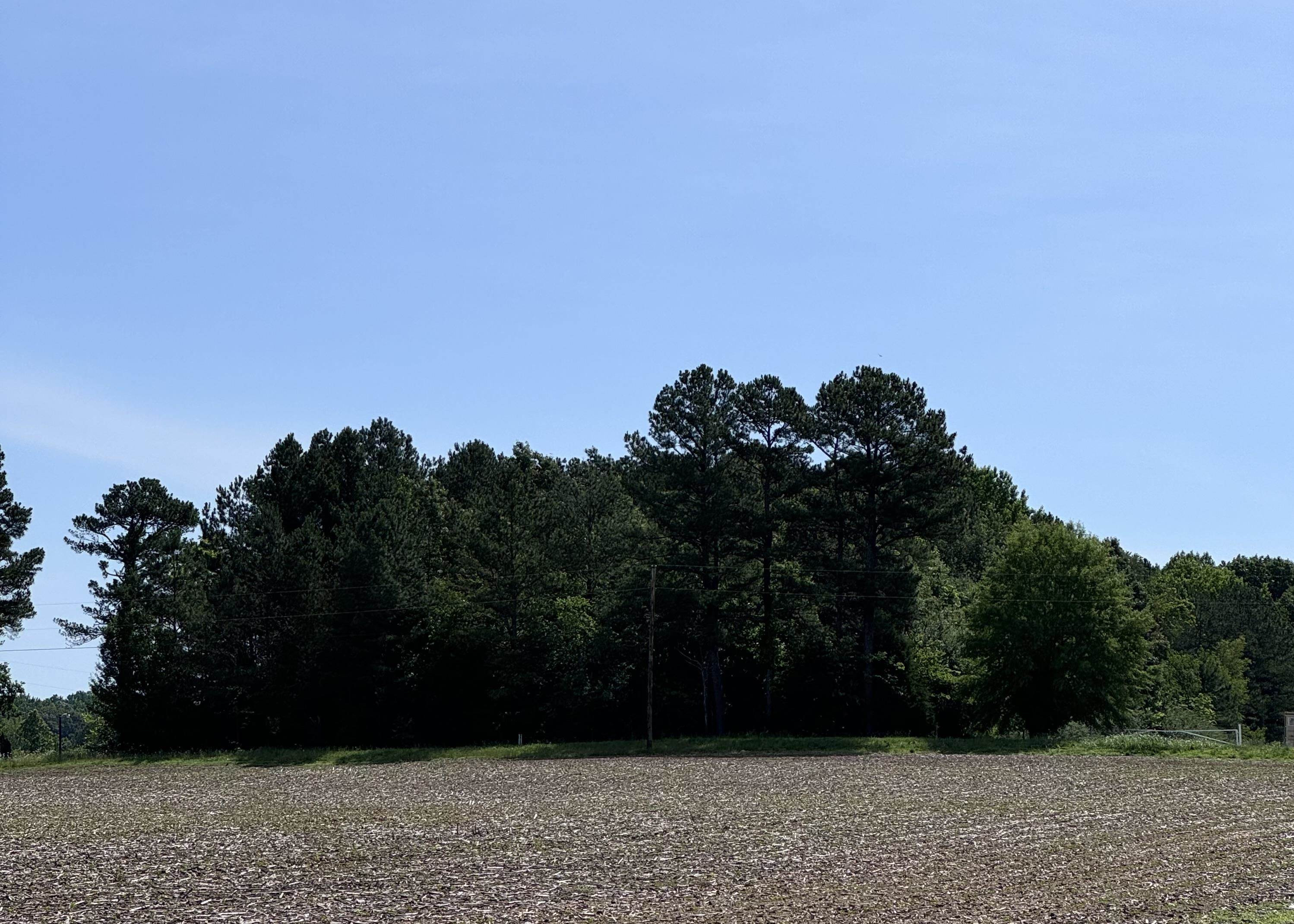 0 Darnell Road Oakfield, TN 38362 - Photo 1 of 5 Photo 1