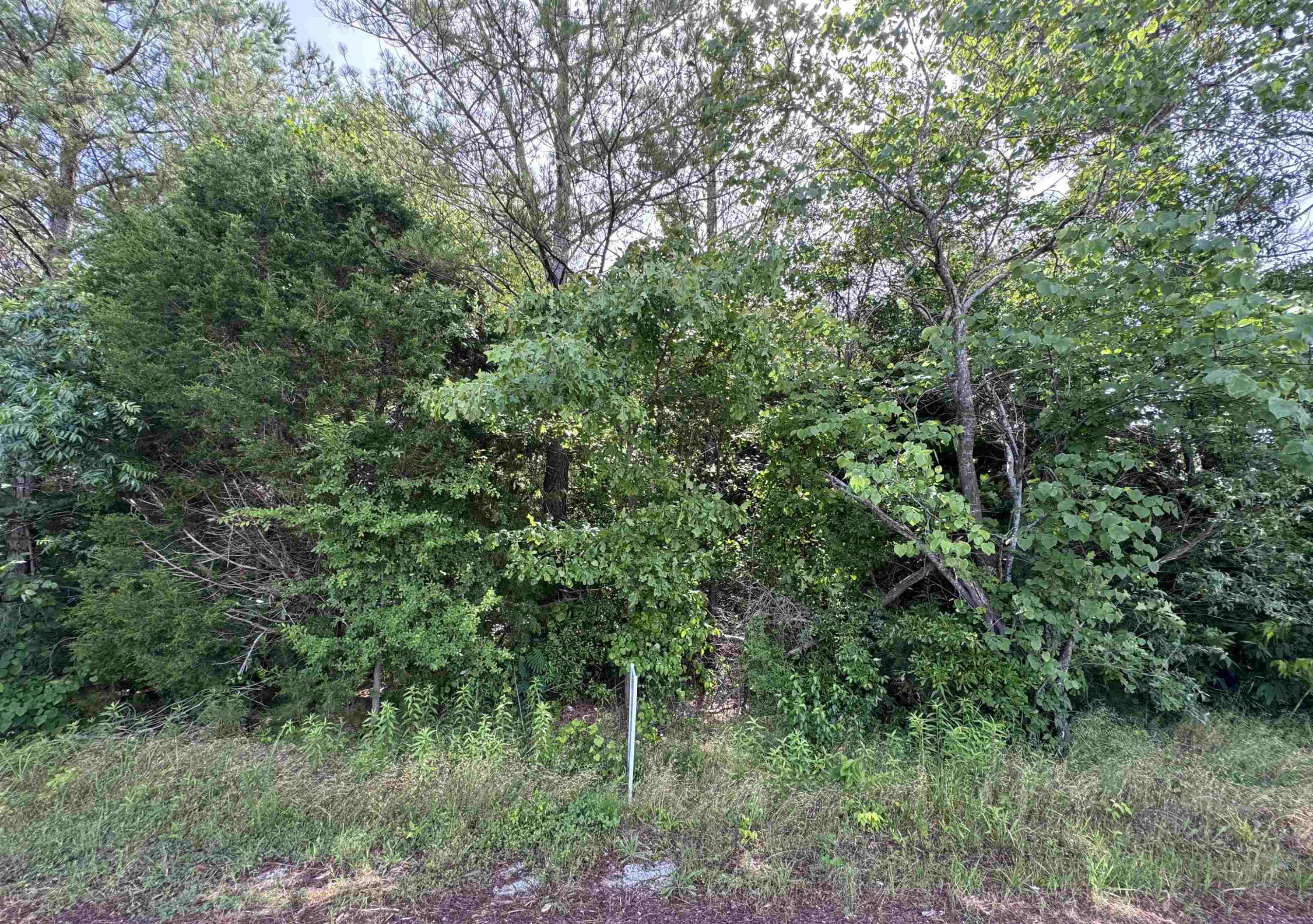 0 Darnell Road Oakfield, TN 38362 - Photo 2 of 5 Photo 2