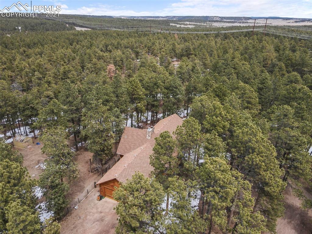 17275 Goshawk Road Colorado Springs, CO 80908 - Photo 11 of 45