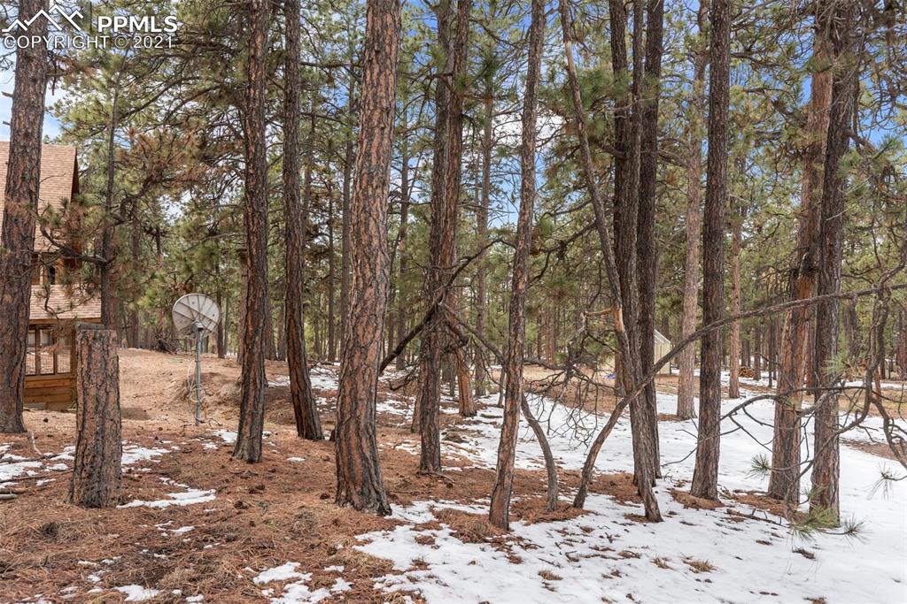 17275 Goshawk Road Colorado Springs, CO 80908 - Photo 37 of 45