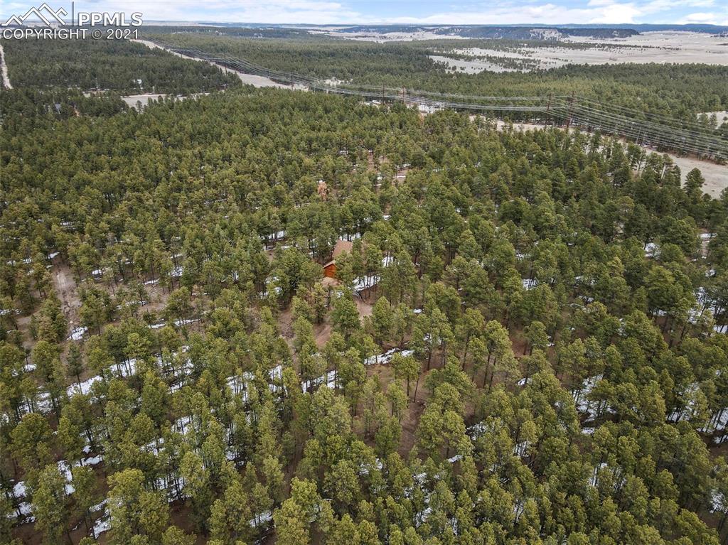 17275 Goshawk Road Colorado Springs, CO 80908 - Photo 39 of 45