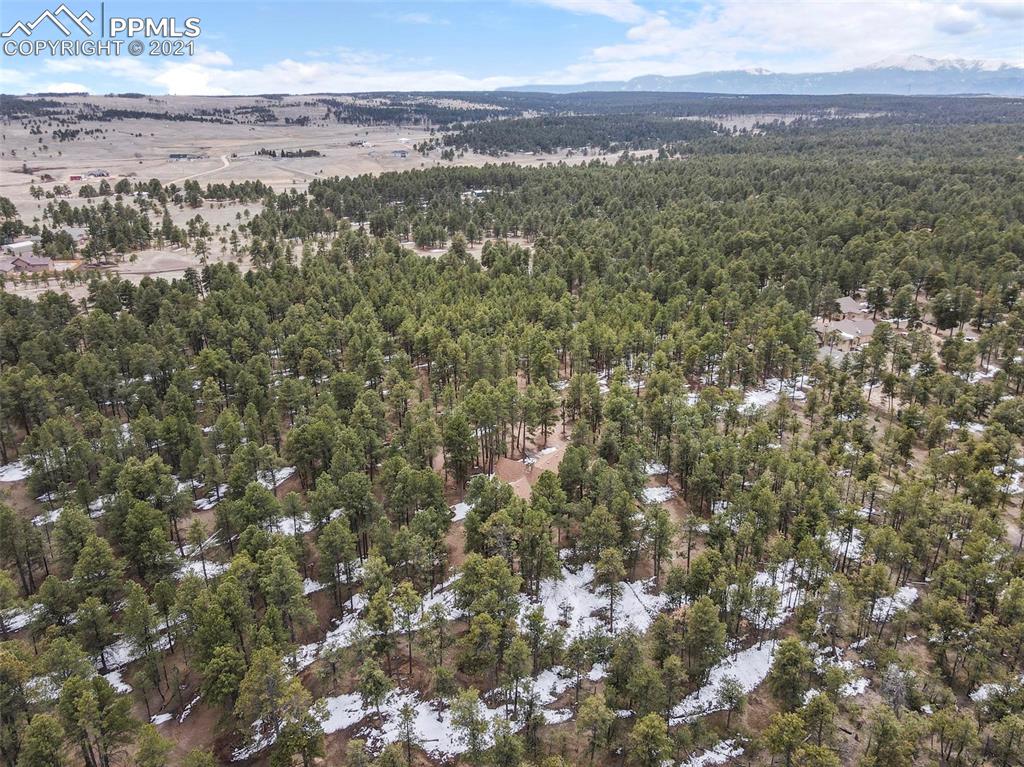 17275 Goshawk Road Colorado Springs, CO 80908 - Photo 40 of 45