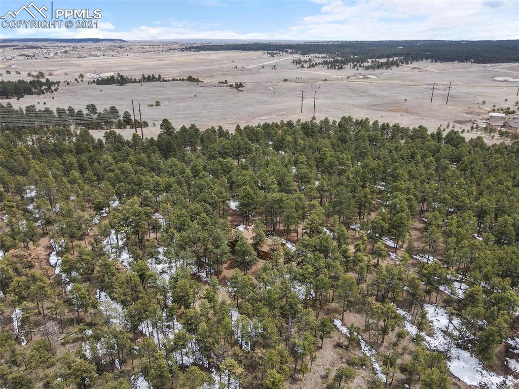 17275 Goshawk Road Colorado Springs, CO 80908 - Photo 41 of 45
