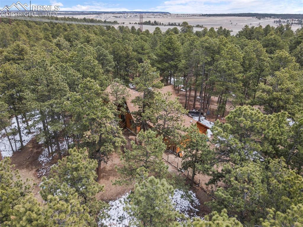 17275 Goshawk Road Colorado Springs, CO 80908 - Photo 42 of 45