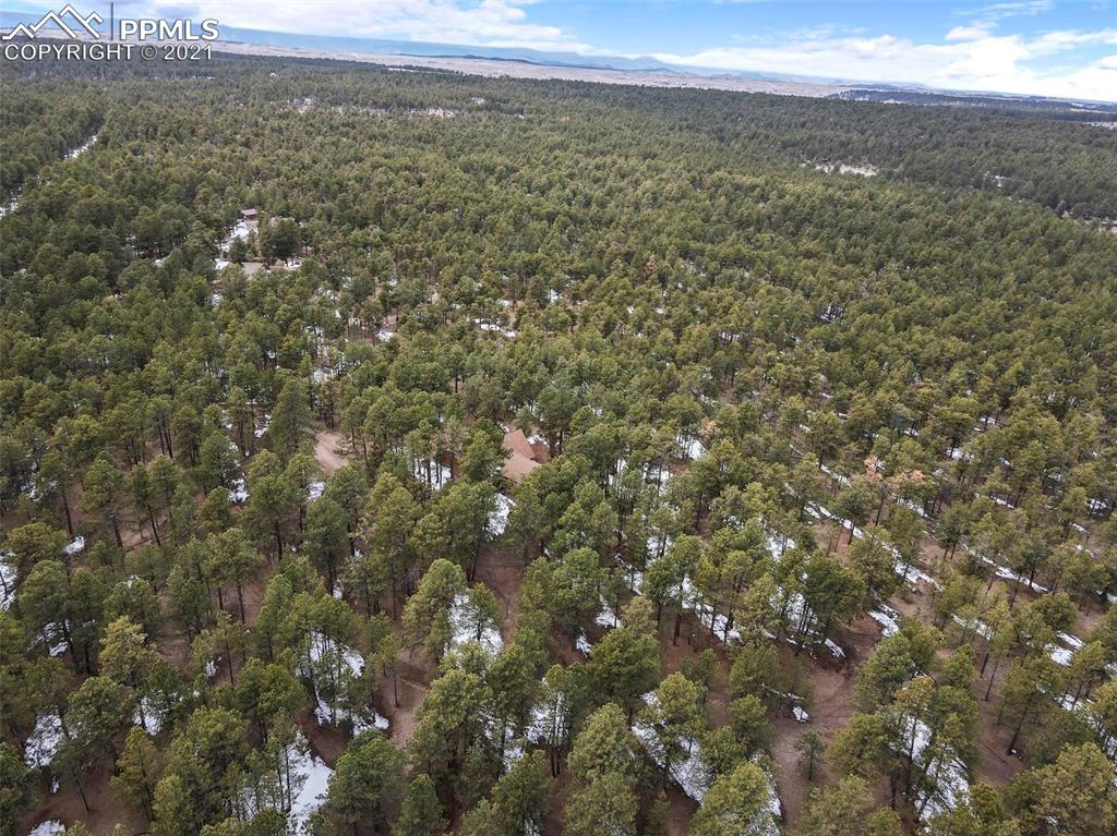 17275 Goshawk Road Colorado Springs, CO 80908 - Photo 44 of 45