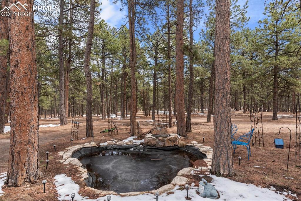 17275 Goshawk Road Colorado Springs, CO 80908 - Photo 7 of 45