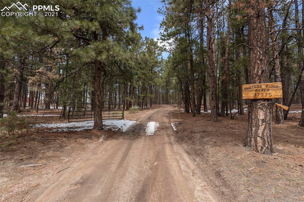 17275 Goshawk Road Colorado Springs, CO 80908 - Photo 8 of 45