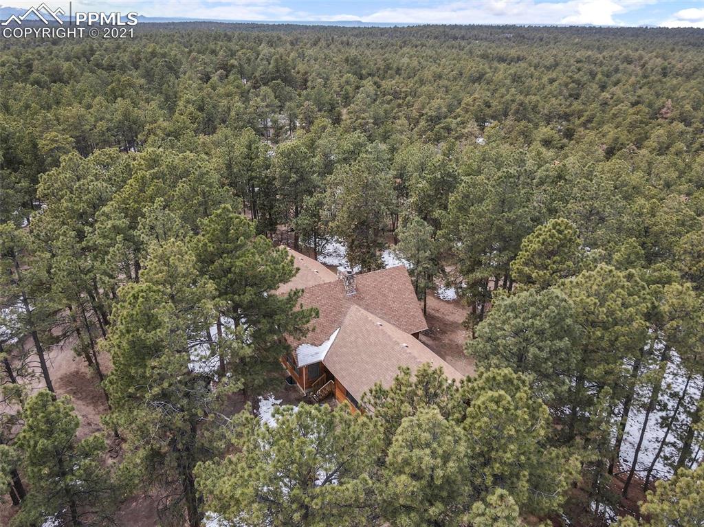 17275 Goshawk Road Colorado Springs, CO 80908 - Photo 9 of 45