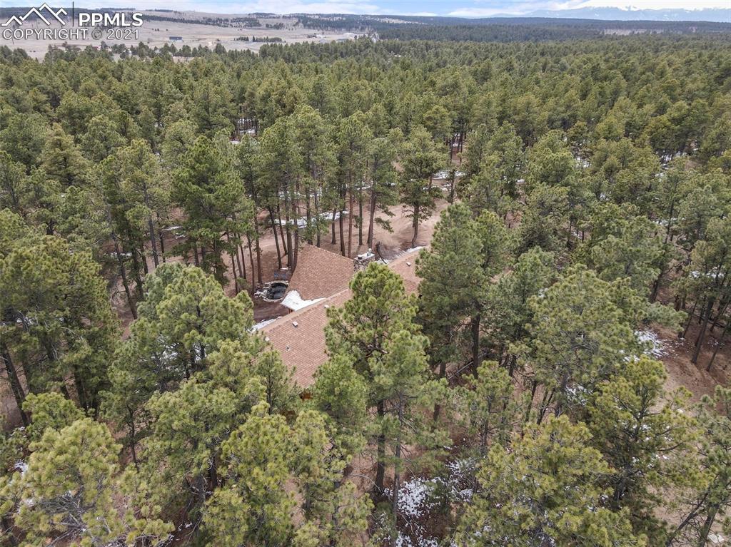 17275 Goshawk Road Colorado Springs, CO 80908 - Photo 10 of 45