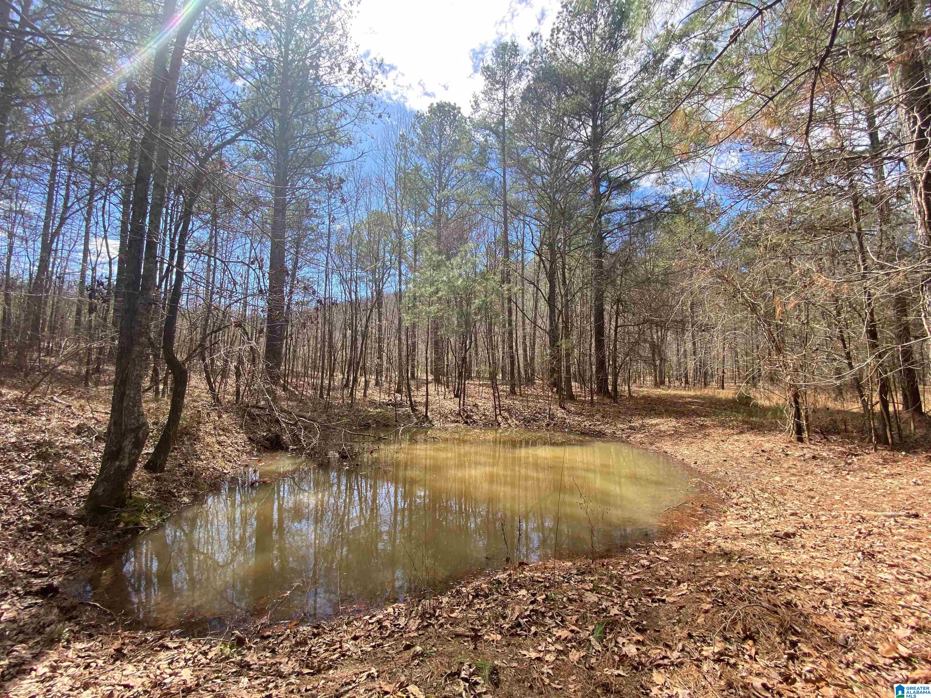 Springs Lane, Unit 12 Springville, AL 35146 - Photo 17 of 26