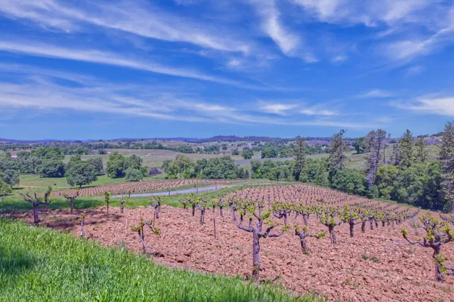 a view of an outdoor space with a garden