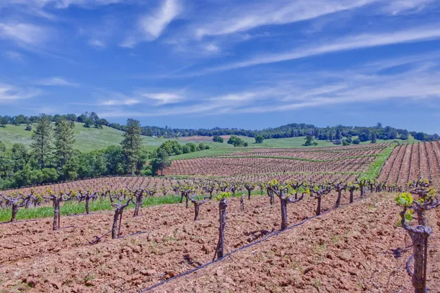 a view of a big room with a yard