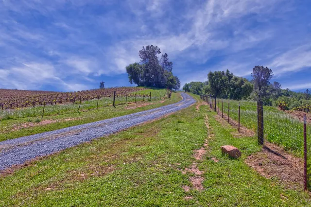 a view of a yard with an trees