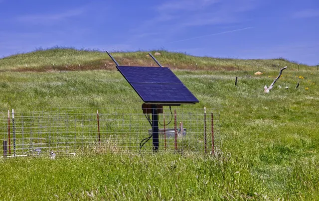a view of an outdoor space and a yard