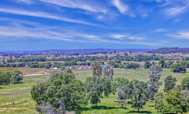 a view of city and lake