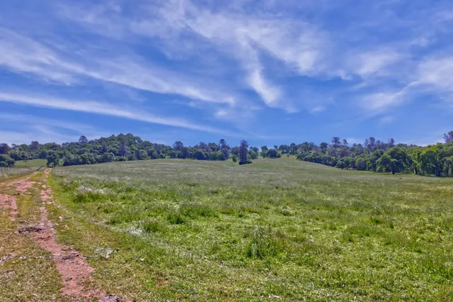 a view of lake with city