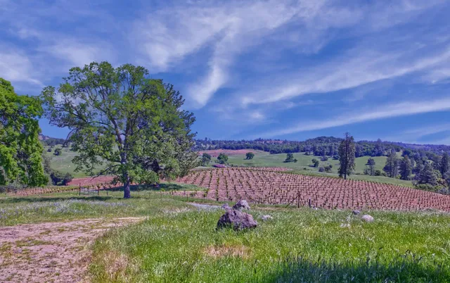 a view of a garden with an outdoor space