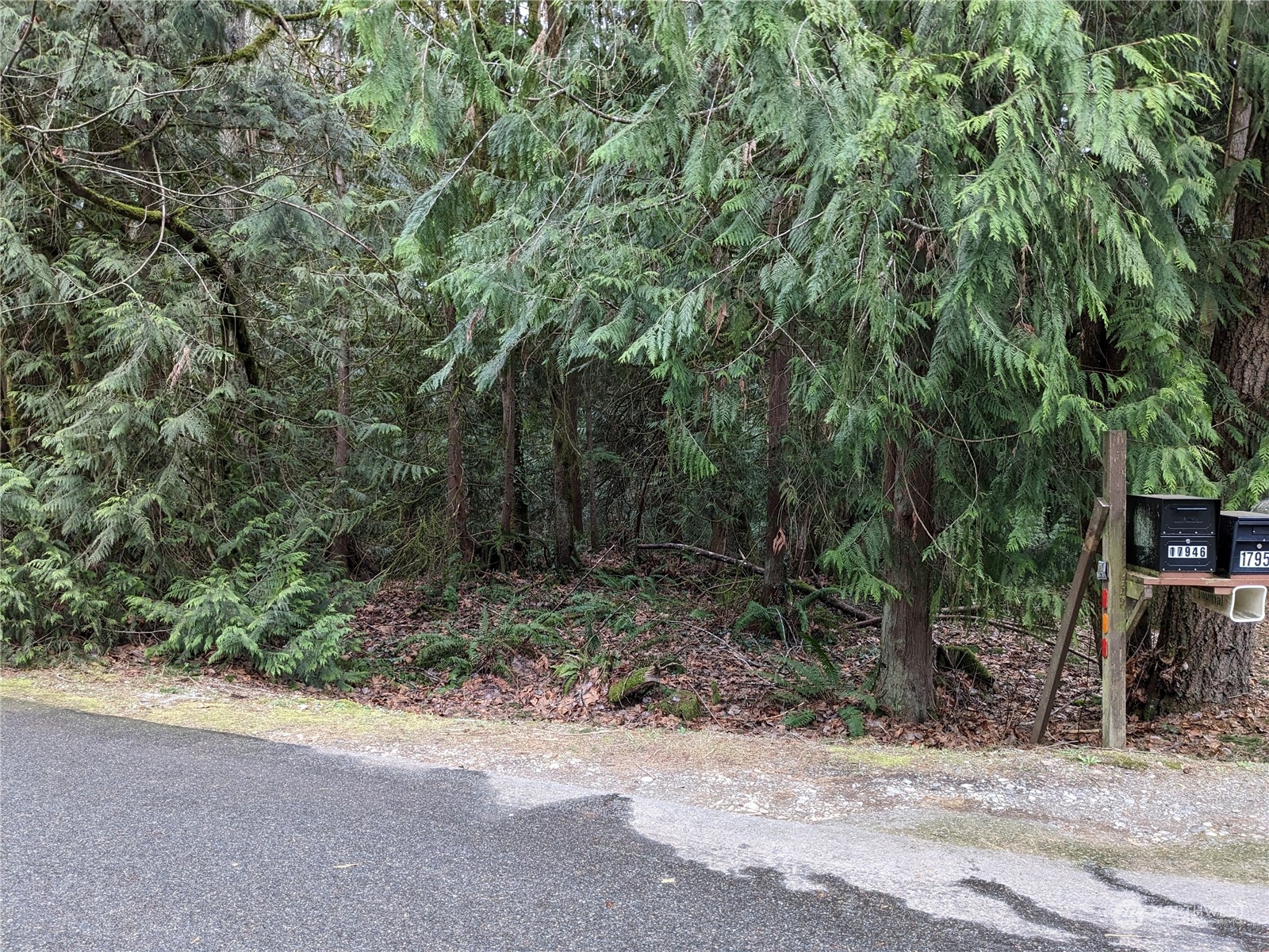 17940 West Spring Lake Drive Southeast Renton, WA 98058 - Photo 1 of 4 Gallery Image 1