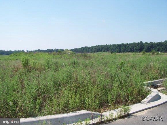 Wemyss Road Dover, DE 19904 - Photo 12 of 21 Gallery Image 12