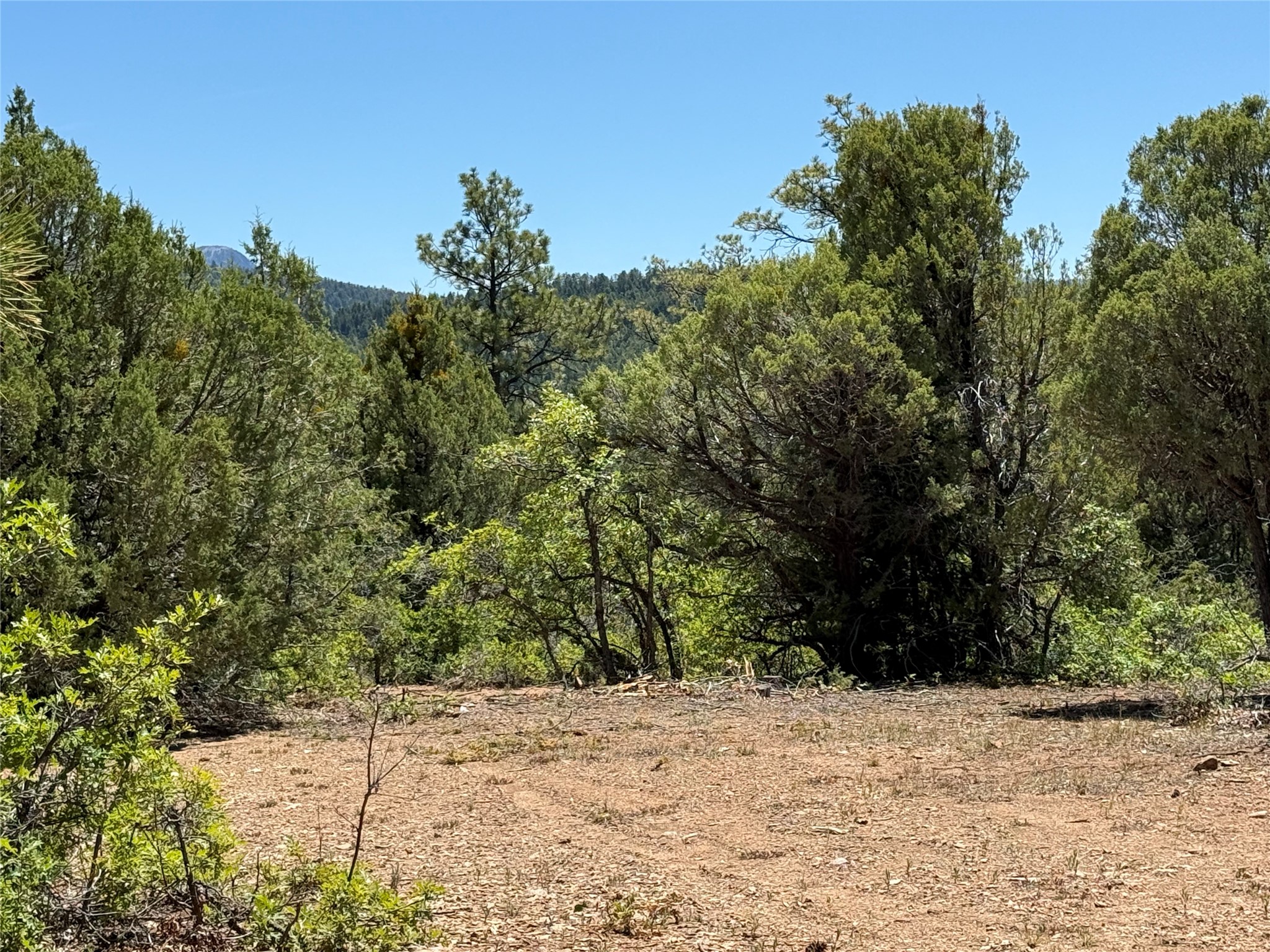 381 Buckman Road Chama, NM 87520 - Photo 19 of 23