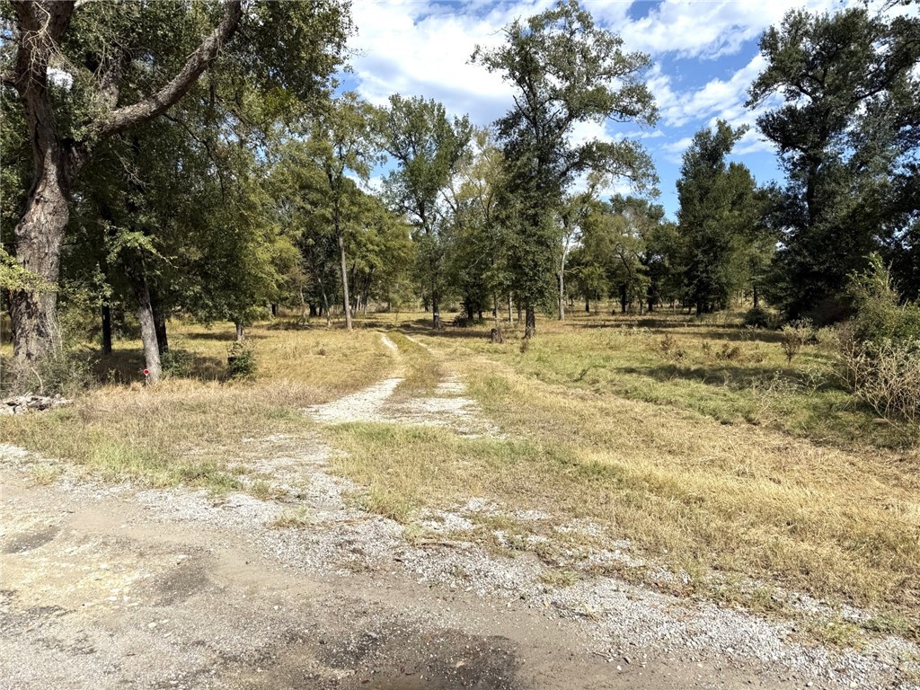 5878 East Boone Prairie Road, Unit COUNTYROAD Franklin, TX 77856 - Photo 19 of 42 a view of yard with trees