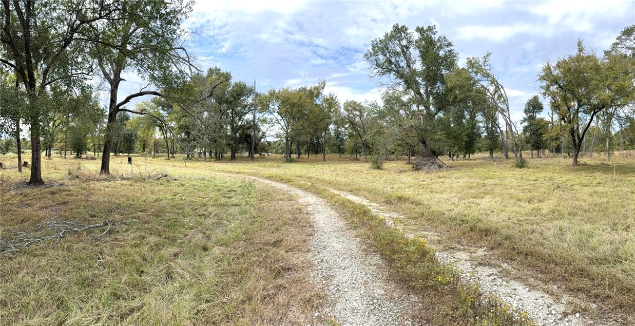 5878 East Boone Prairie Road, Unit COUNTYROAD Franklin, TX 77856 - Photo 20 of 42 a view of dirt yard with a trees