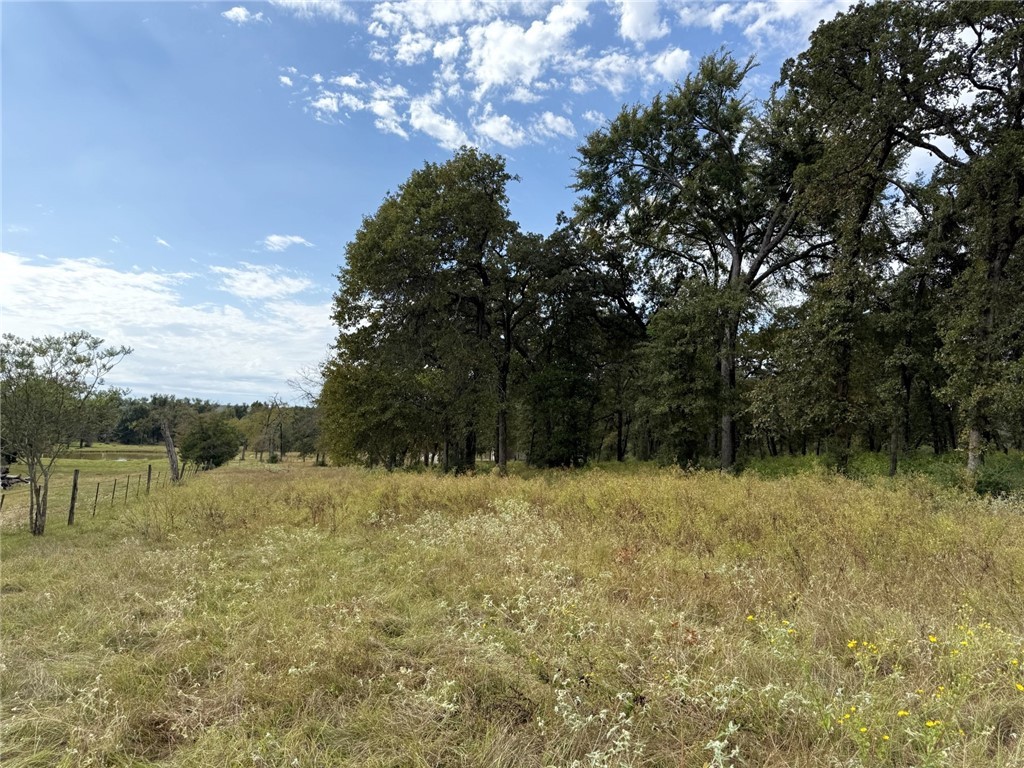 5878 East Boone Prairie Road, Unit COUNTYROAD Franklin, TX 77856 - Photo 23 of 42 a view of outdoor space and yard