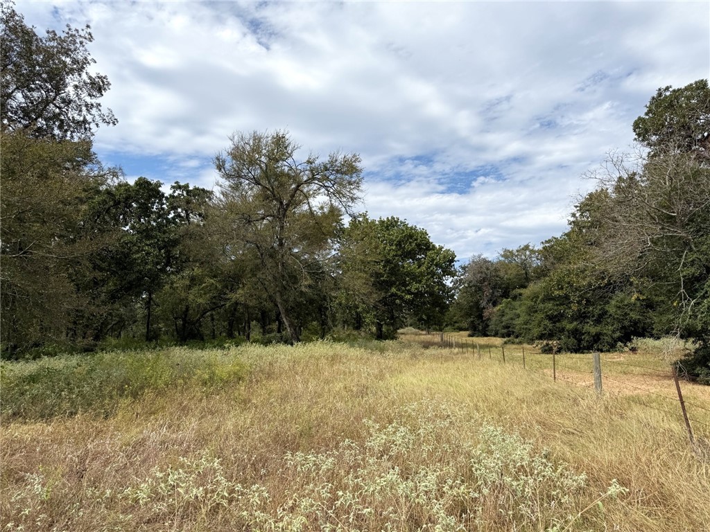 5878 East Boone Prairie Road, Unit COUNTYROAD Franklin, TX 77856 - Photo 24 of 42 a view of a yard with a tree