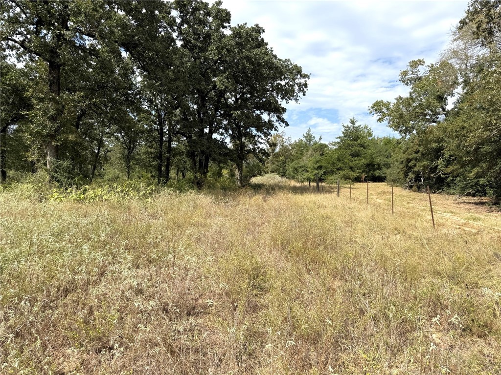 5878 East Boone Prairie Road, Unit COUNTYROAD Franklin, TX 77856 - Photo 25 of 42 a view of a lake view
